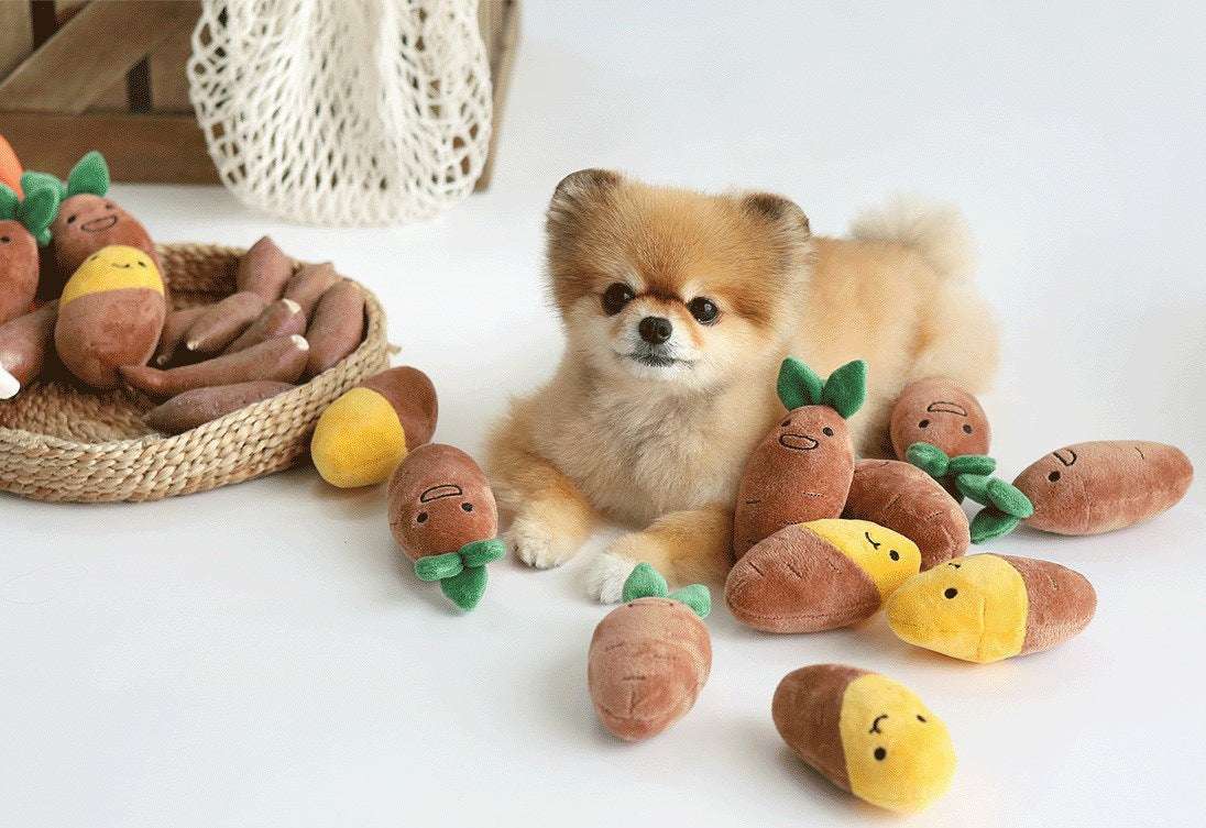 Pet Sound Toy, Plush Dog Toy, Sweet Potato Toy - available at Sparq Mart