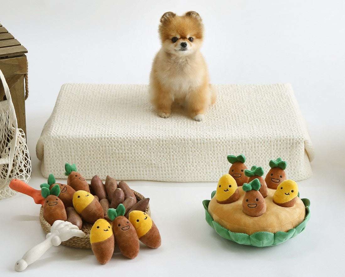 Pet Sound Toy, Plush Dog Toy, Sweet Potato Toy - available at Sparq Mart