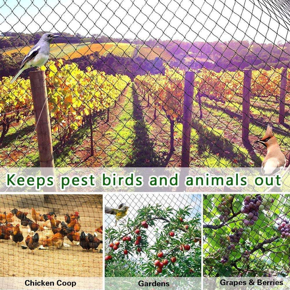 durable poultry netting, mesh fence barrier, plastic garden fencing - available at Sparq Mart