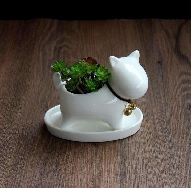 desktop succulent planter, indoor ceramic pot, small potted plant - available at Sparq Mart